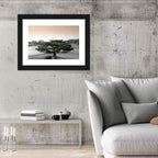 Bonsai Pine in Japanese Garden Wall Art