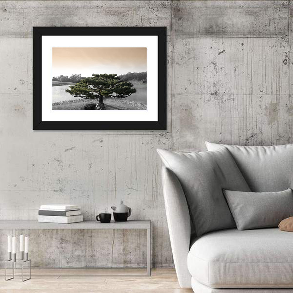 Bonsai Pine in Japanese Garden Wall Art