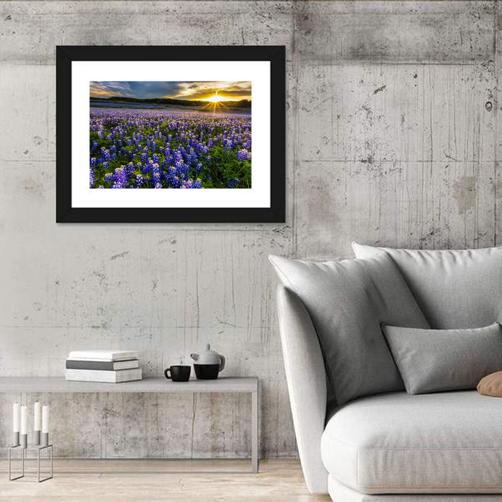 Texas Bluebonnet Field at Sunset Wall Art