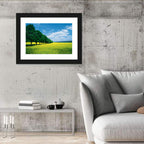 Spring Field of Yellow Flowers Wall Art