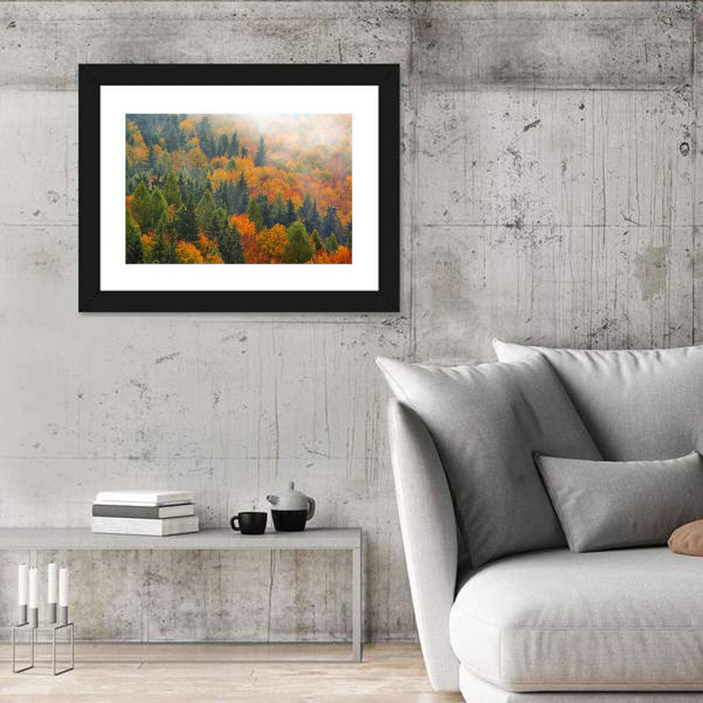 Misty Autumn Forestscape Wall Art