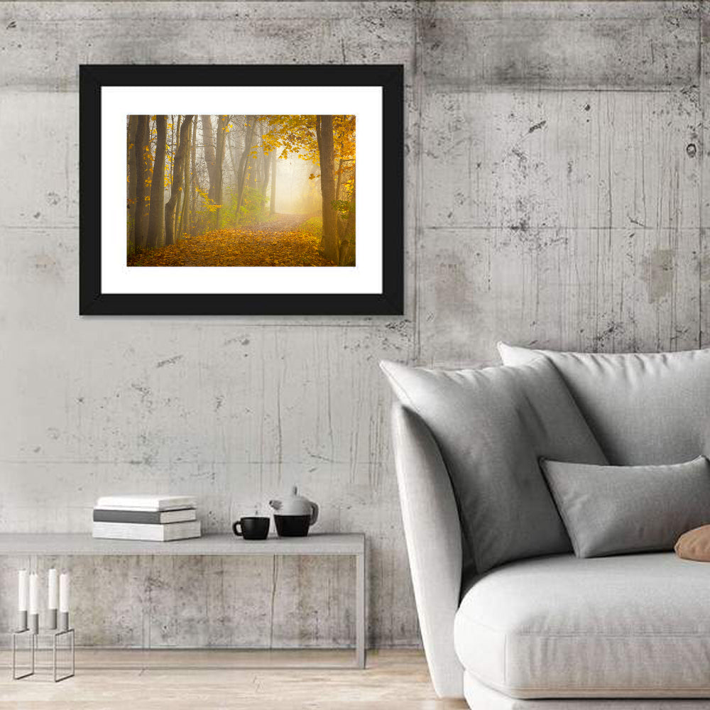 Cuyahoga Valley Autumn Path Wall Art in a room, landscape