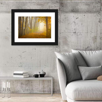 Cuyahoga Valley Autumn Path Wall Art