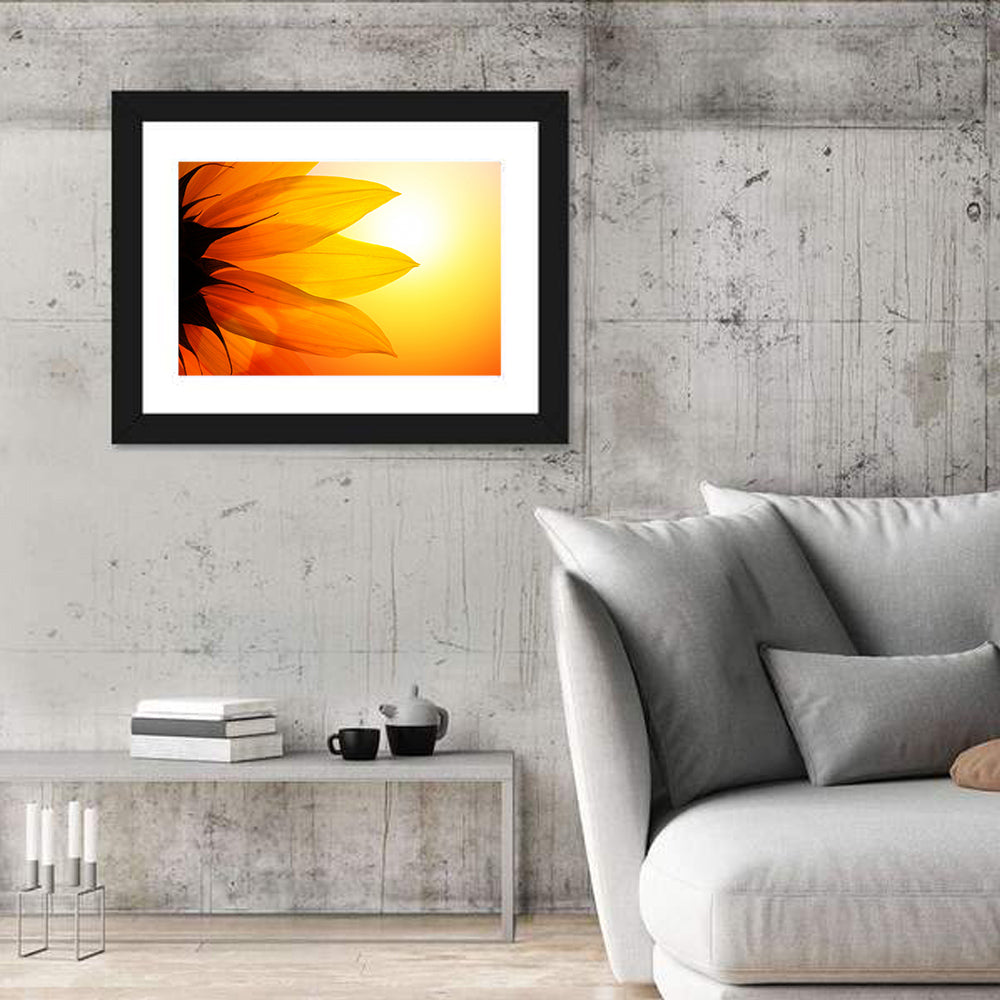 Backlit Sunflower Petals Wall Art