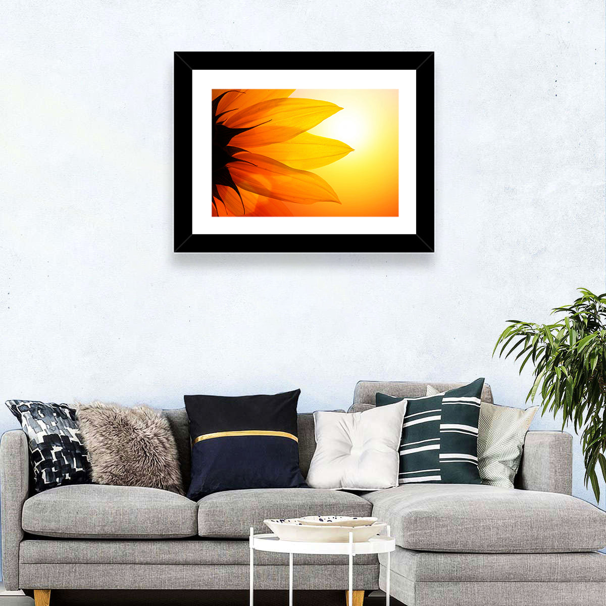 Backlit Sunflower Petals Wall Art