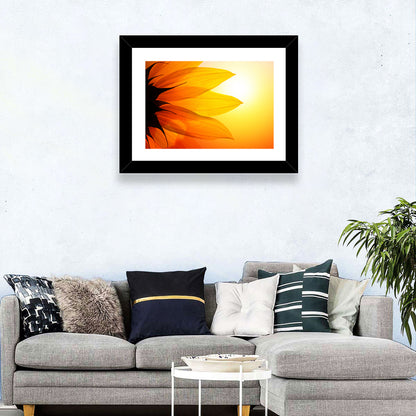 Backlit Sunflower Petals Wall Art