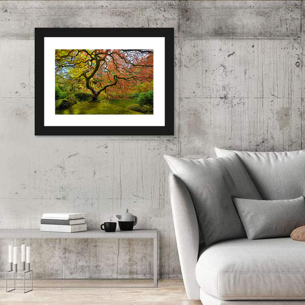 Gnarled Japanese Maple by Garden Pond Wall Art in a room, landscape