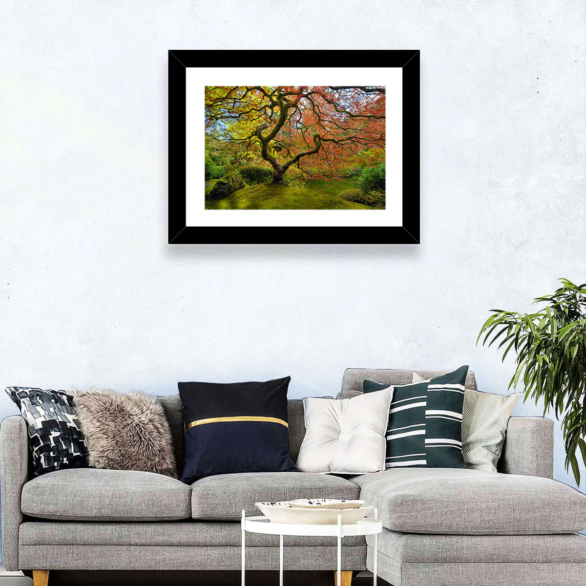 Gnarled Japanese Maple by Garden Pond Wall Art in a room, landscape