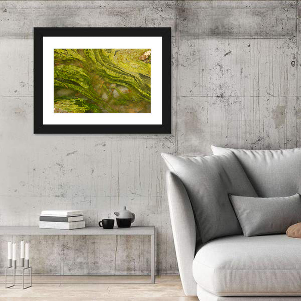 Macro Algae Stream Wall Art in a room, landscape