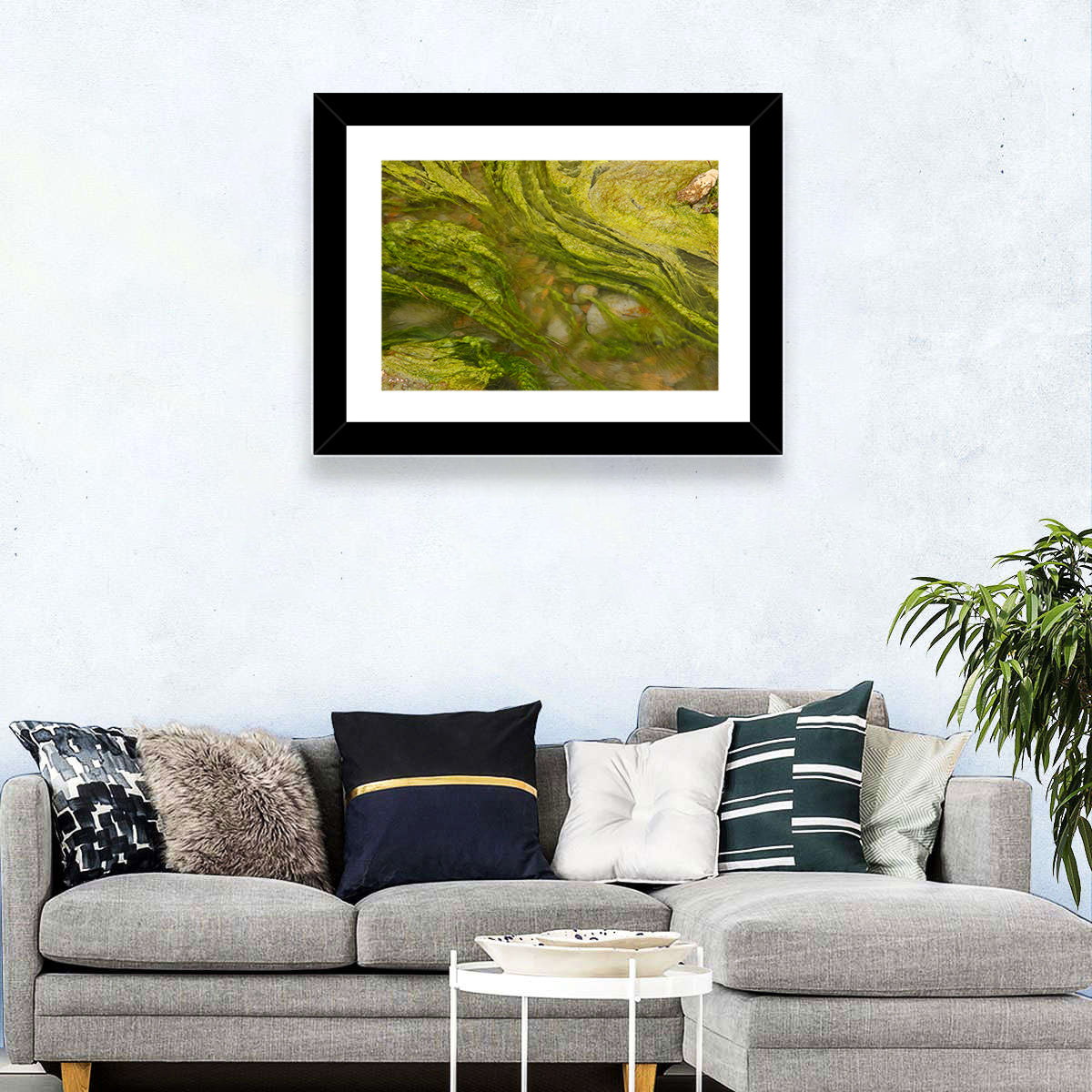 Macro Algae Stream Wall Art