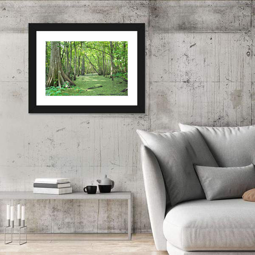 Summer Cypress Bayou, Louisiana Wall Art in a room, landscape
