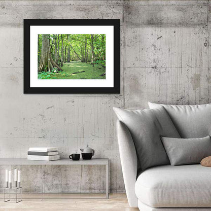 Summer Cypress Bayou, Louisiana Wall Art