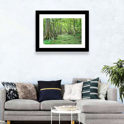 Summer Cypress Bayou, Louisiana Wall Art