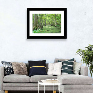 Louisiana Cypress Bayou Wall Art