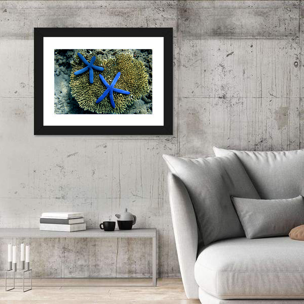 Blue Starfish Wall Art in a room, landscape