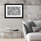 Snowy Aerial Forest Wall Art
