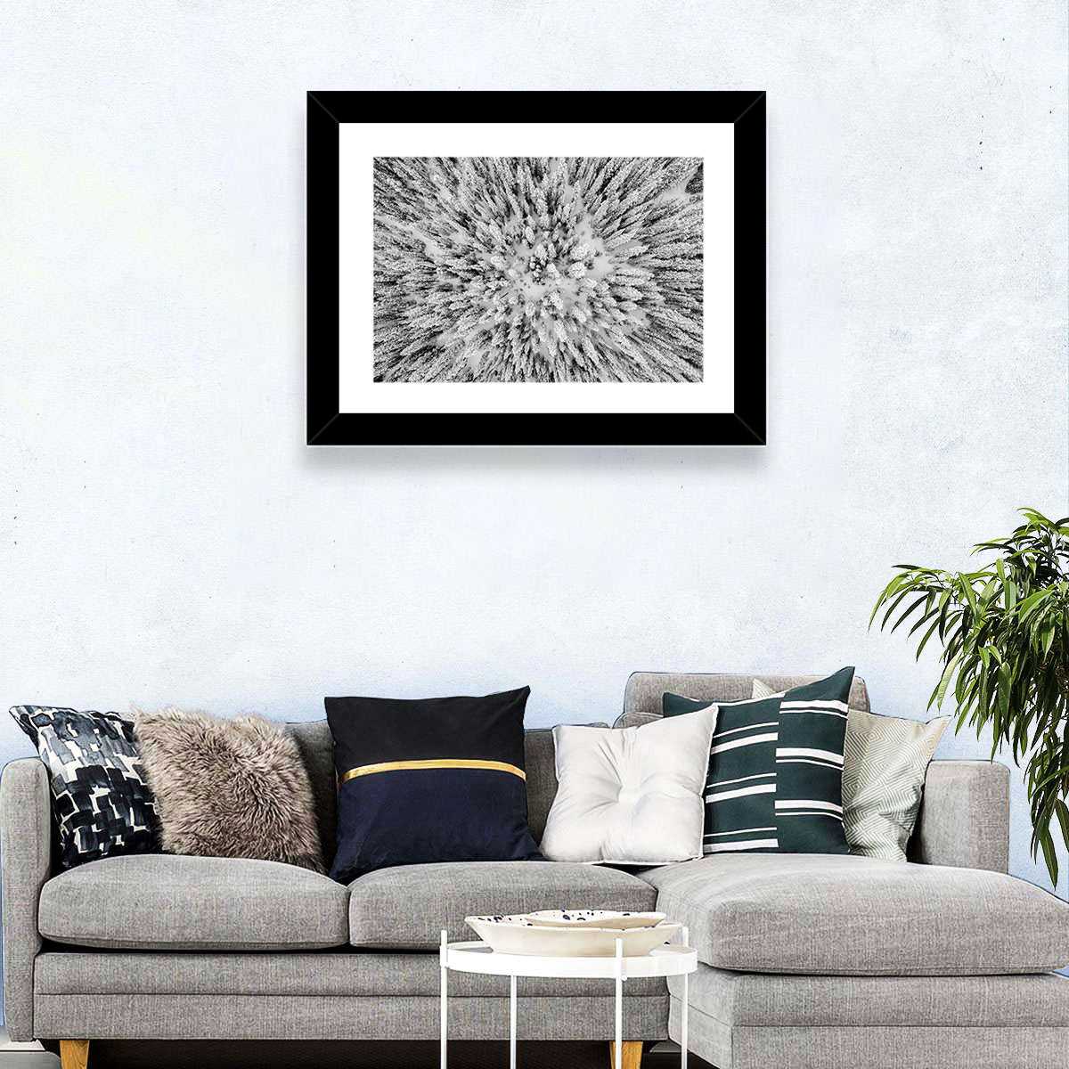 Snowy Aerial Forest Wall Art