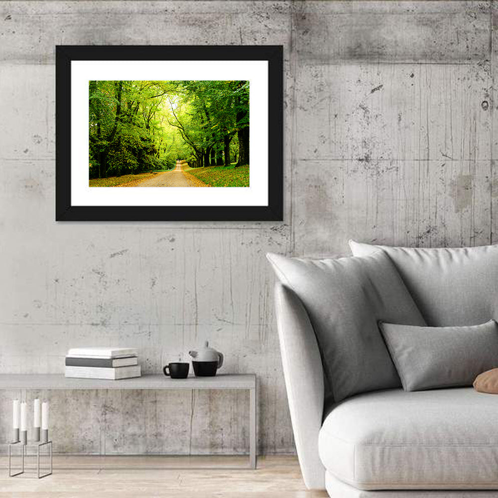 Sunlit Forest Pathway Wall Art in a room, landscape
