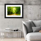 Sunlit Forest Pathway Wall Art