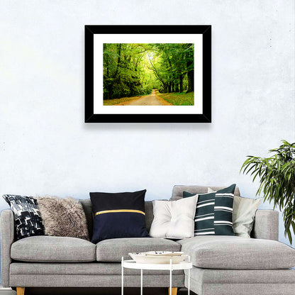 Sunlit Forest Pathway Wall Art
