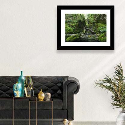 Kammersee Mossy Cleft Wall Art