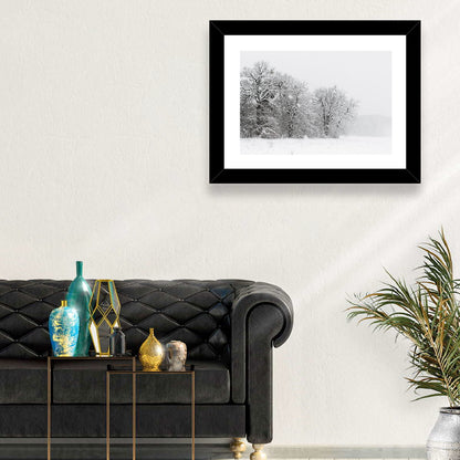 Snow-covered Trees in Fog Wall Art