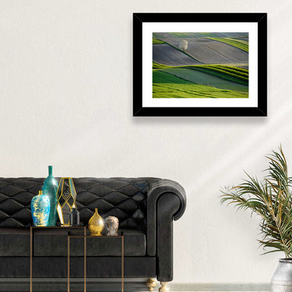 Springtime Polish Fields Wall Art