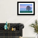 Misty Sumava Mountain Tree Wall Art