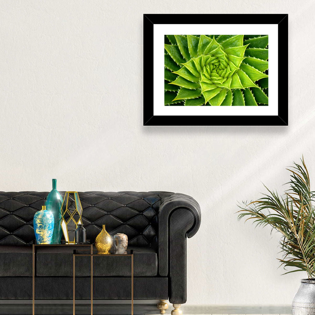 Spiral Aloe Succulent Wall Art