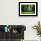 Lush Cypress Swamp Wall Art
