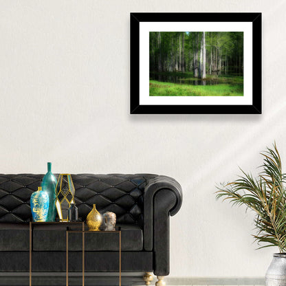 Lush Cypress Swamp Wall Art