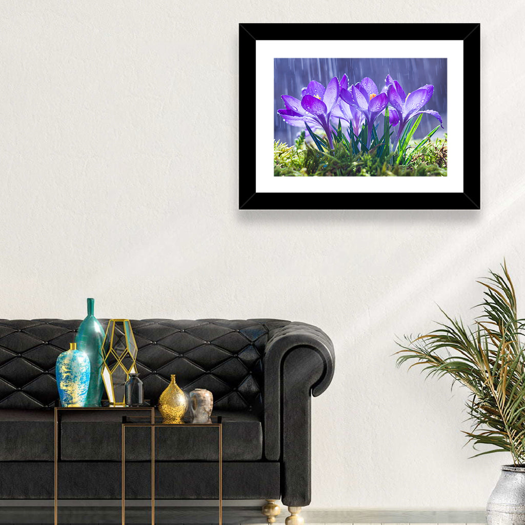 Rainy Purple Crocuses Wall Art