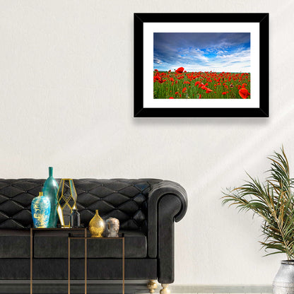 Red Poppy Field Wall Art