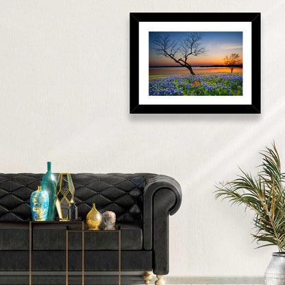 Texas Bluebonnet Sunset Wall Art