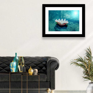 Beach Shell Wall Art