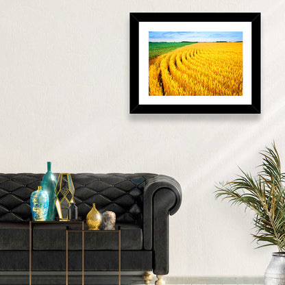 Summer Wheat Field with Curved Paths Wall Art