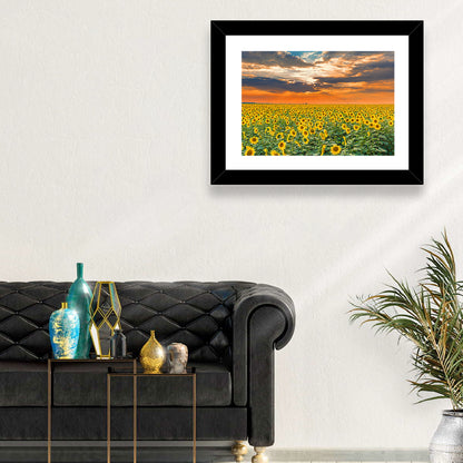 Golden Hour Sunflower Field Wall Art