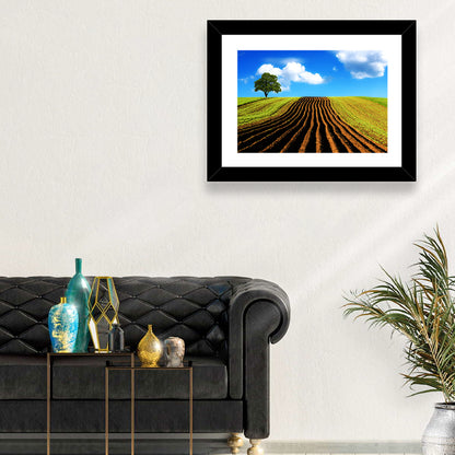 Plowed Field with Lone Tree Wall Art
