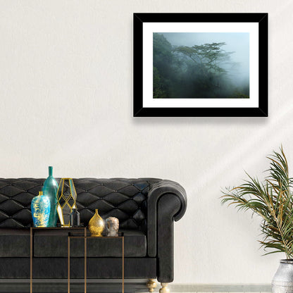 Misty Rainforest Canopy Wall Art