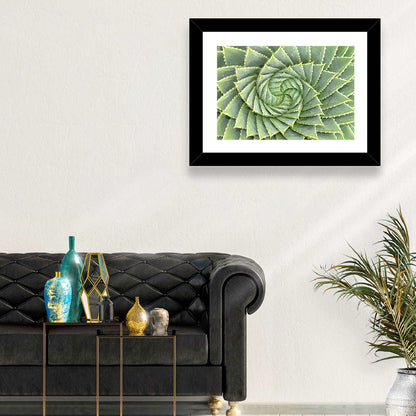 Spiral Aloe Close-up Wall Art