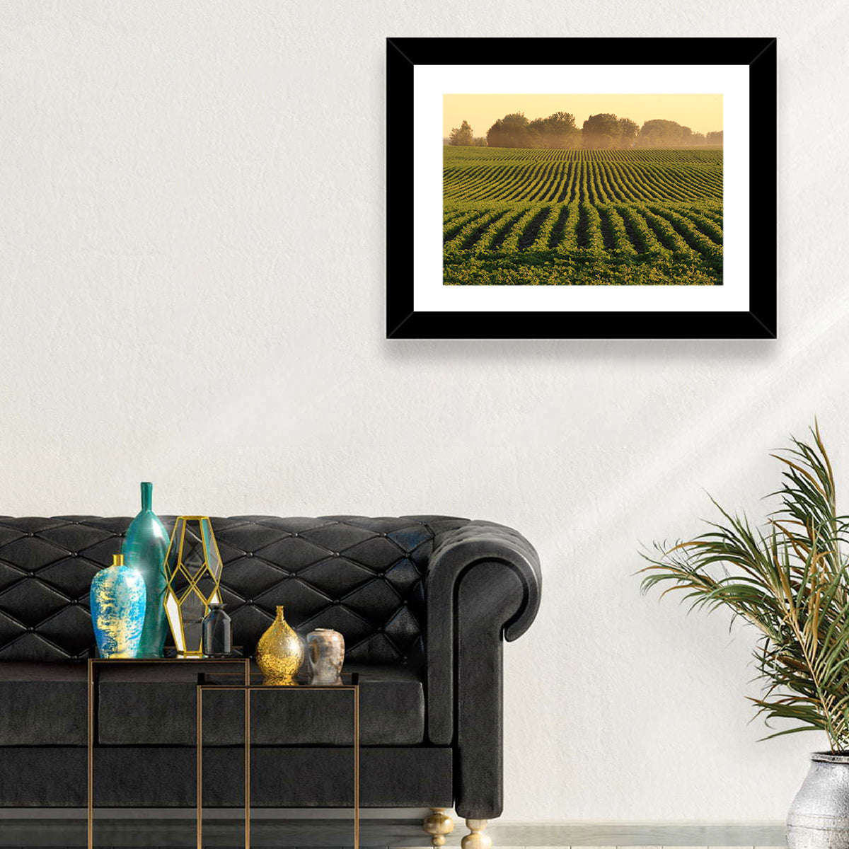Misty Soybean Field at Dusk Wall Art