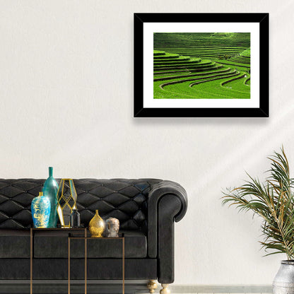 Lush Rice Terraces Wall Art