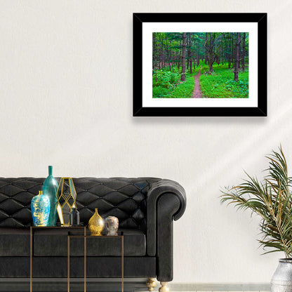Lush Virginia Forest Trail Wall Art