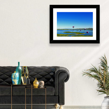 Lake Mathews Wildflower View Wall Art