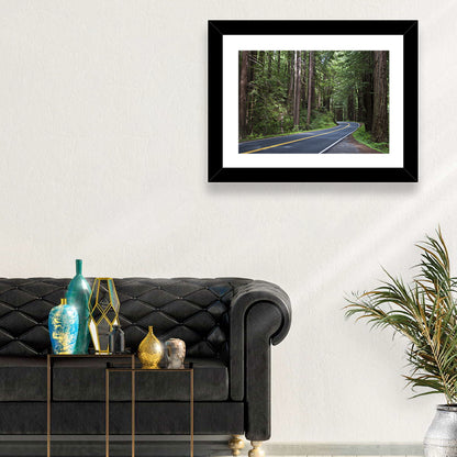 Winding Redwood Forest Road Wall Art