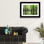Sunlit Swamp Forest Wall Art
