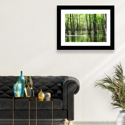 Sunlit Swamp Forest Wall Art