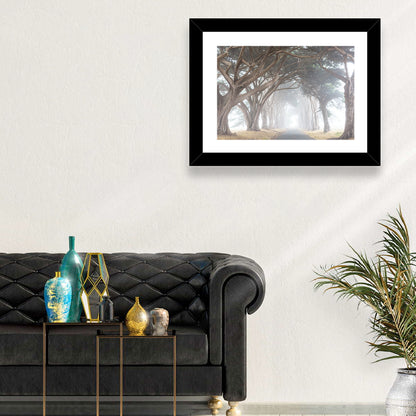 Misty Cypress Tunnel Wall Art