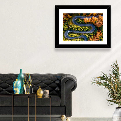 Serpentine Forest Road Wall Art