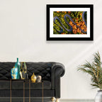 Autumn Aerial Mountain Road Wall Art